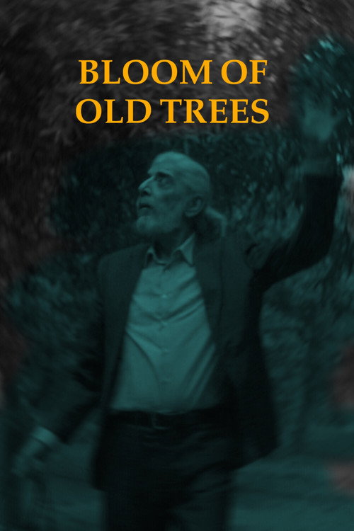 Movie poster for Bloom of Old Trees (2024)