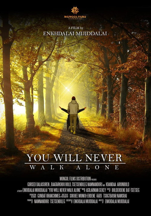 Movie poster for You Will Never Walk Alone (2016)