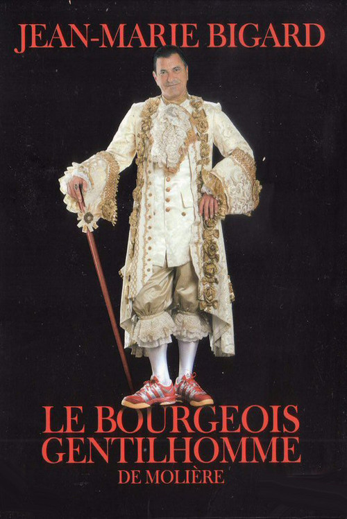 Movie poster for Would-Be Gentleman (2006)