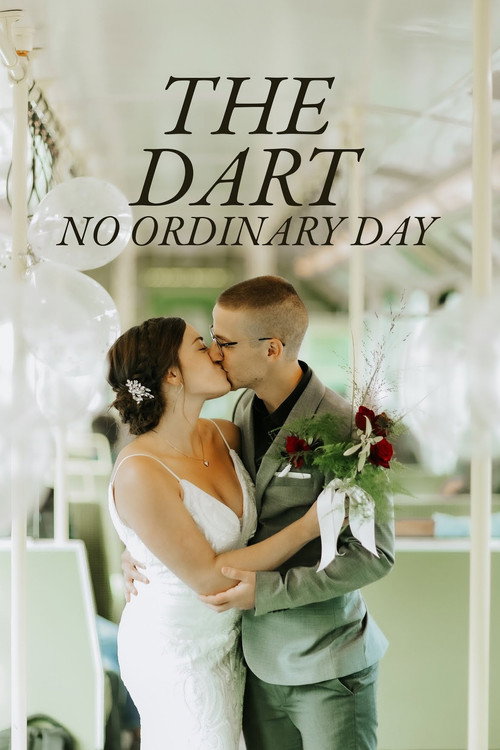 Movie poster for The DART: No Ordinary Day (2022)