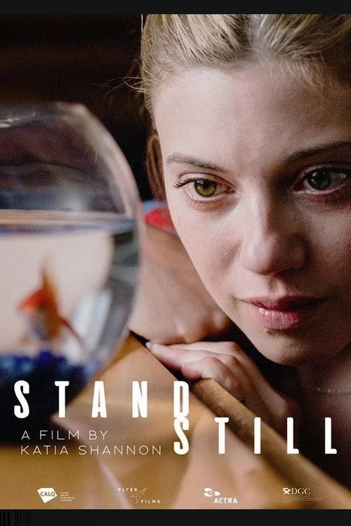 Movie poster for Standstill (2019)