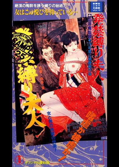 Movie poster for Forbidden Technique to Tie a Lady (1978)