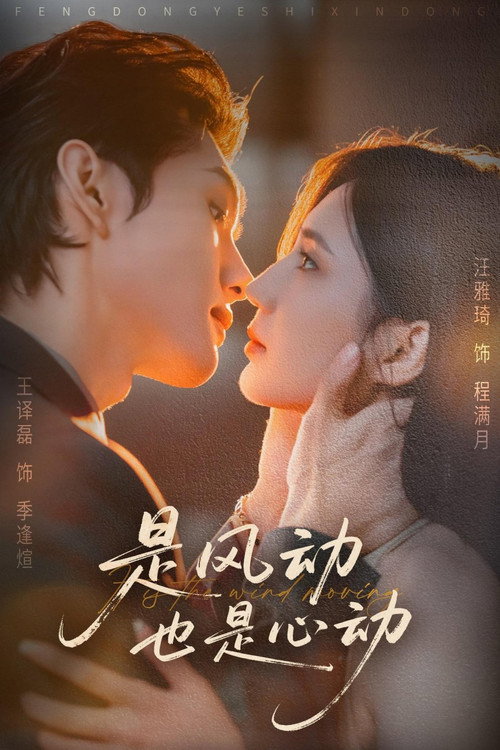 是风动也是心动 poster