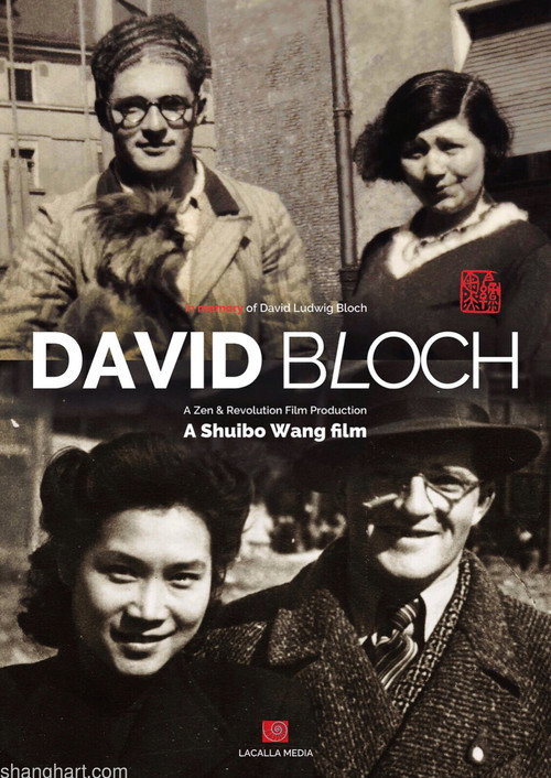 Movie poster for Who Is David Bloch (2025)
