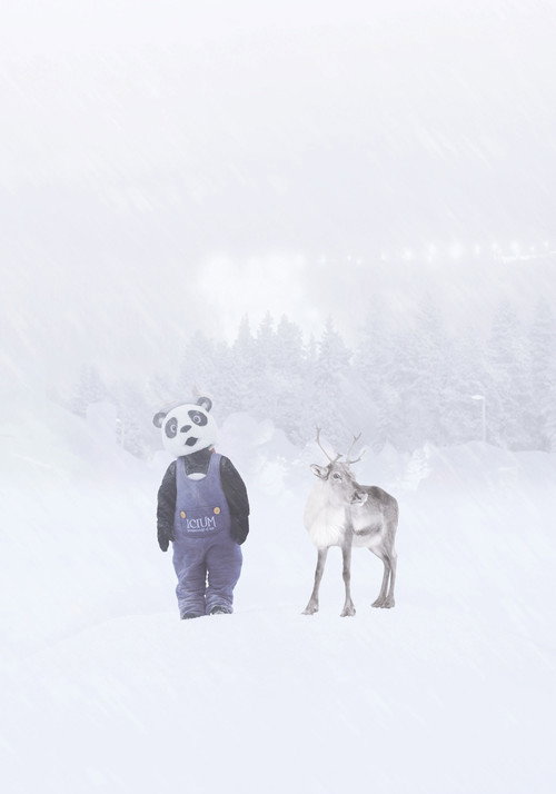 Movie poster for Wonder World of Ice (2014)
