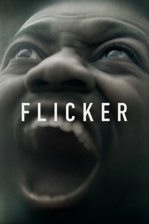 Movie poster for Flicker