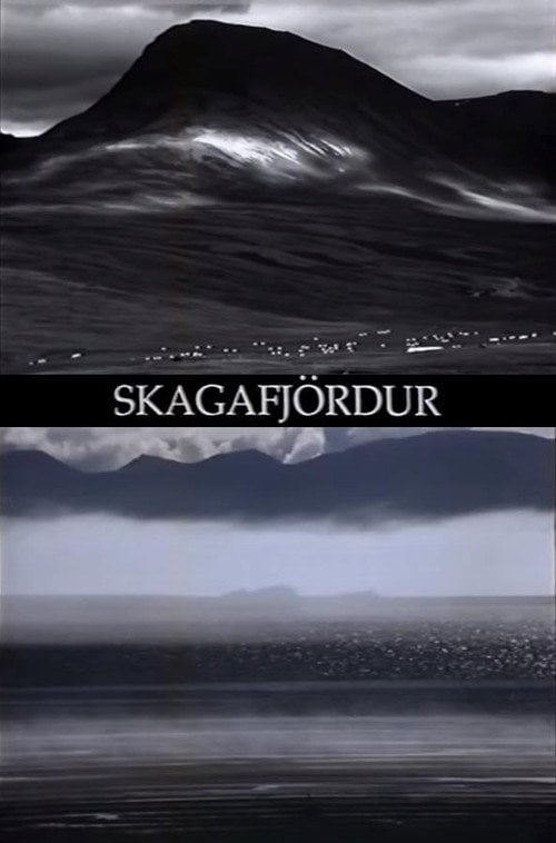 Movie poster for Skagafjördur (2004)