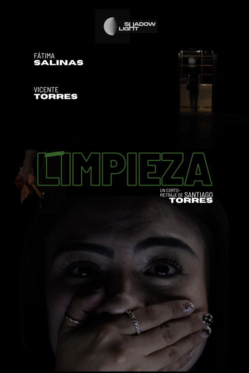 Movie poster for Cleaning (2022)