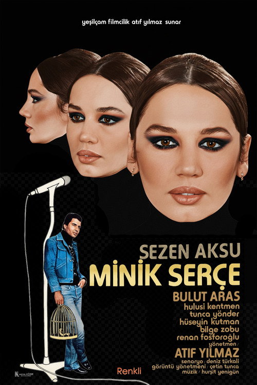 Movie poster for The Little Sparrow (1979)