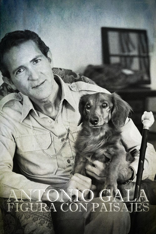 Movie poster for Antonio Gala: figura con paisajes (2015)