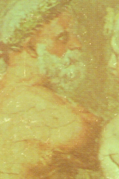 Movie poster for Search for Immortality (2026)