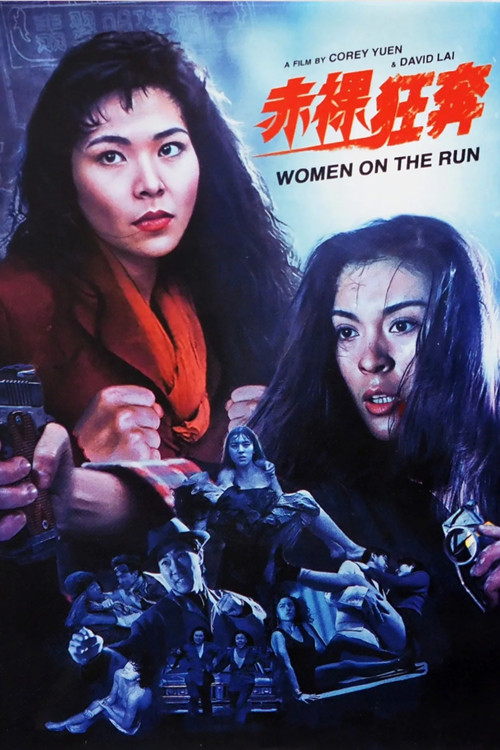 Movie poster for Women on the Run (1993)