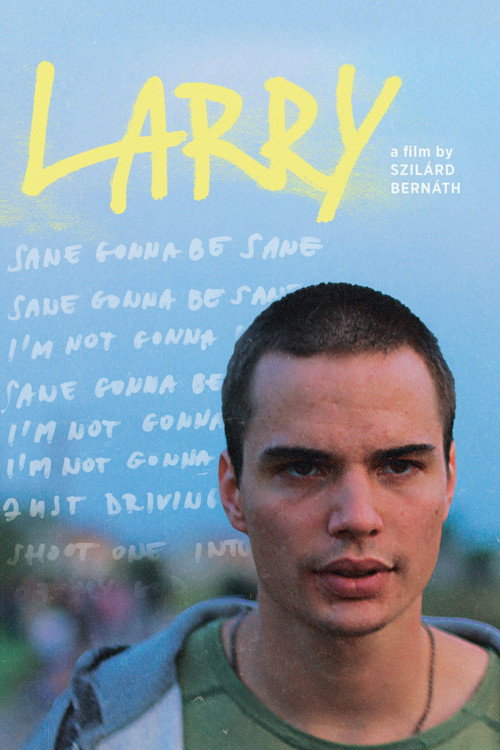 Movie poster for Larry (2022)