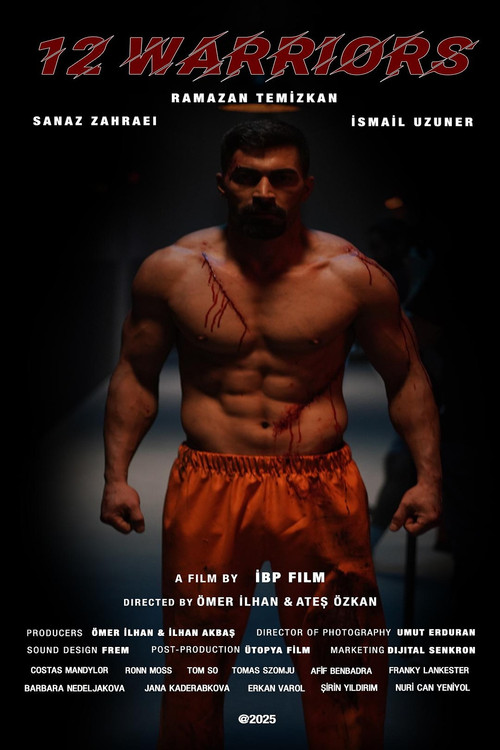 Movie poster for 12 Warriors (2025)