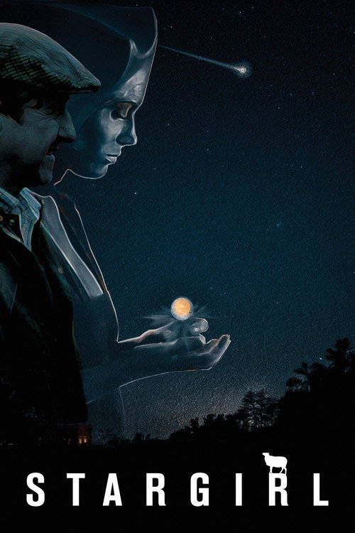 Movie poster for StarGirl (2017)