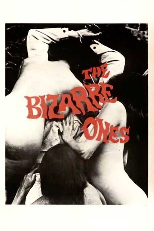 Movie poster for The Bizarre Ones (1968)
