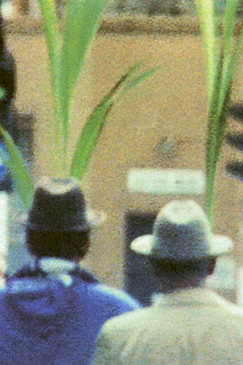 Movie poster for Exodus (1997)