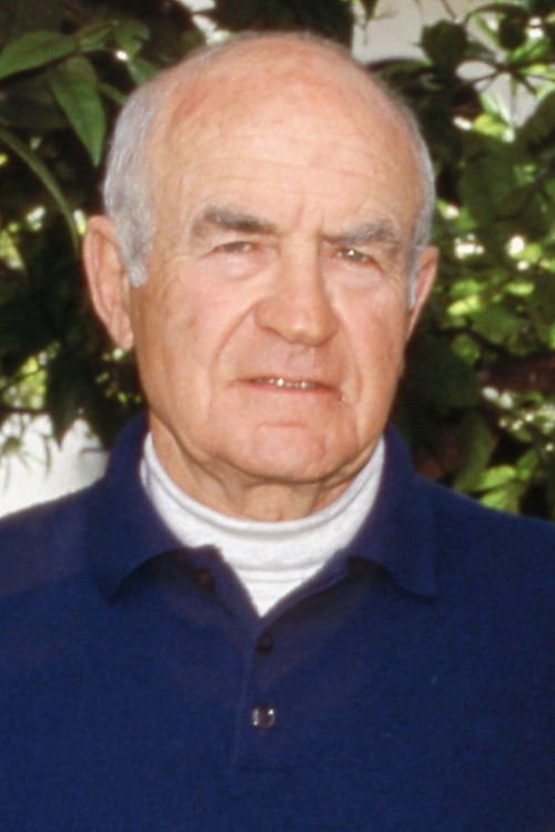 Photo of Peter Viertel, Writing