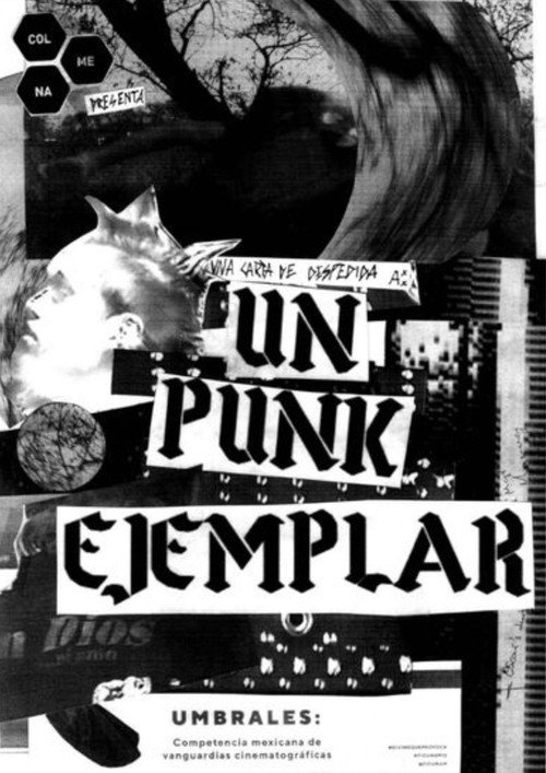 Movie poster for An Exemplary Punk (2023)