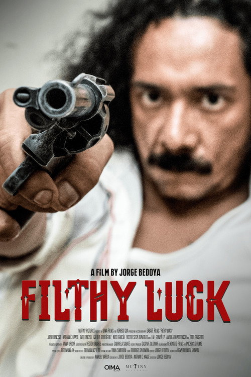 Movie poster for Filthy Luck (2014)