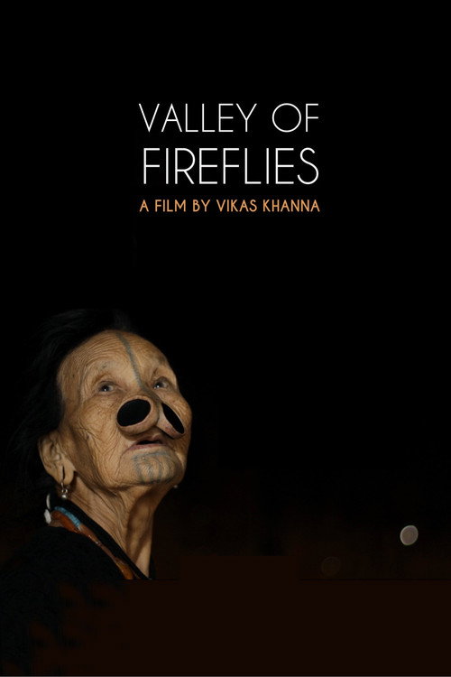 Movie poster for Valley of Fireflies