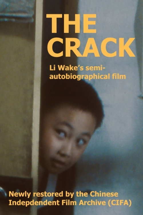 Movie poster for The Crack (2002)