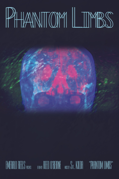 Movie poster for Phantom Limbs (2016)