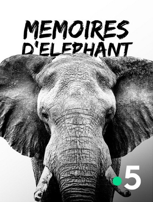Movie poster for Mémoires d'éléphant (2018)