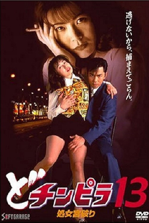 Movie poster for Dochinpira 13: Virgin Palace Breaking (1995)