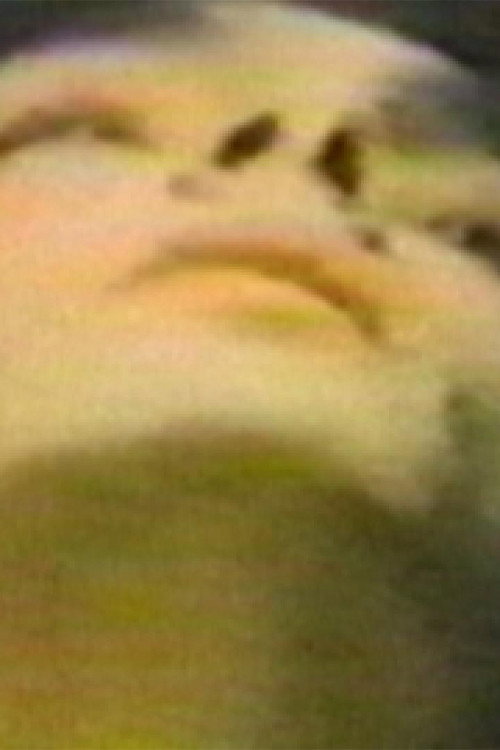 Movie poster for The Hundred Videos #1 (1996)