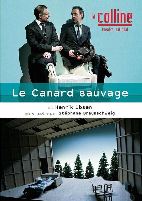 Movie poster for Le Canard sauvage (2014)