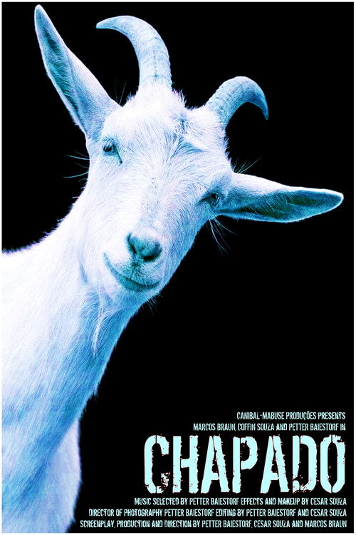 Movie poster for Chapado (1997)