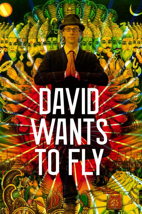 Movie poster for David Wants to Fly (2010)