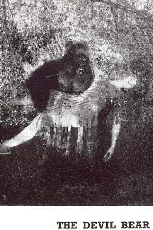Movie poster for The Devil Bear (1929)
