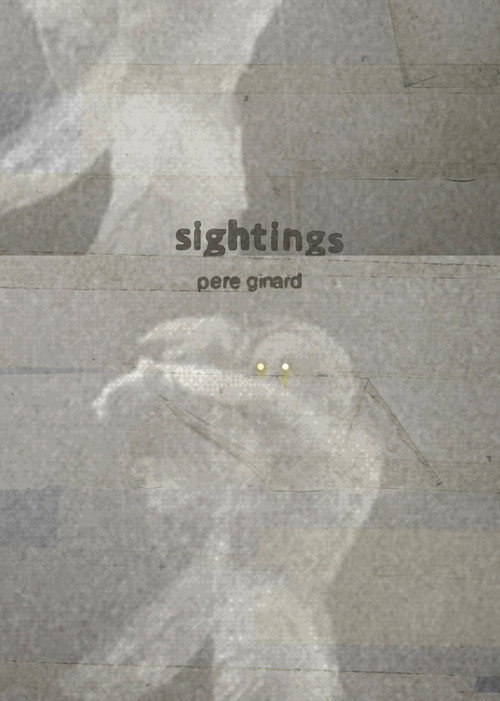 Movie poster for Sightings (2023)