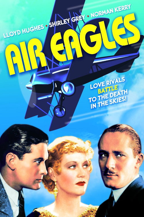 Movie poster for Air Eagles (1931)