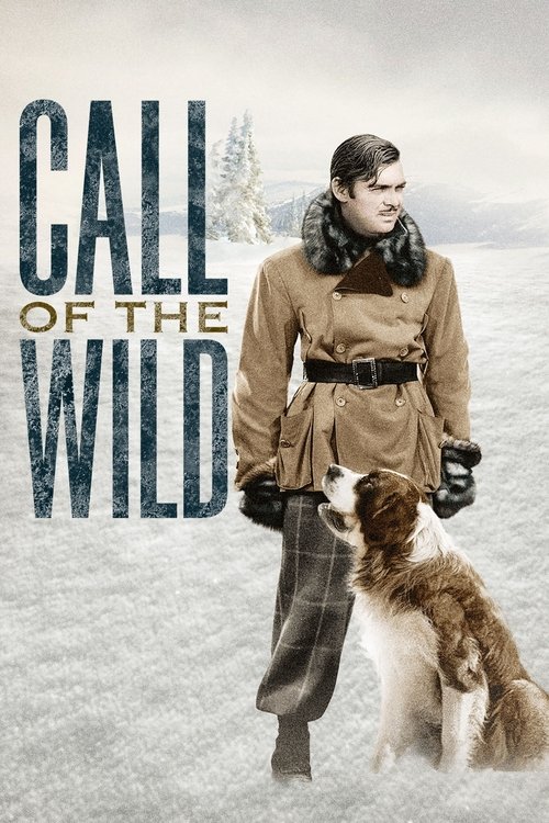 Movie poster for Call of the Wild (1935)