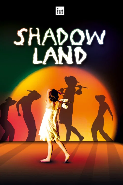 Movie poster for Shadowland (2013)
