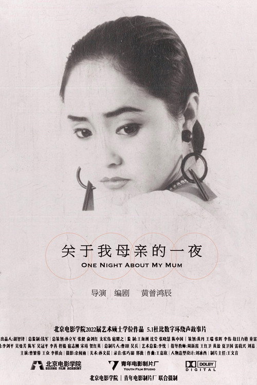 Movie poster for One Night About My Mum (2022)
