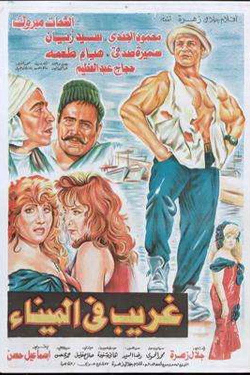 Movie poster for A Stranger in the Port (1995)