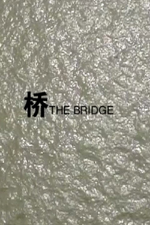 Movie poster for Bridge (2007)
