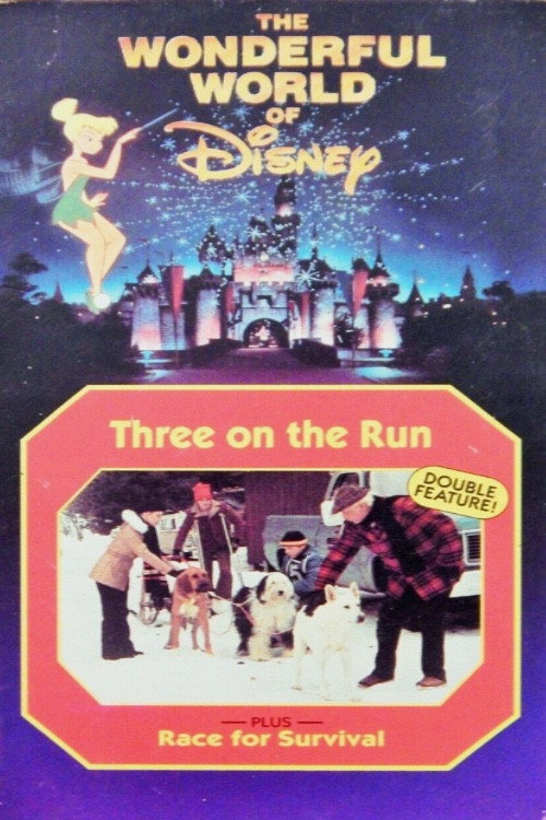 Movie poster for Race for Survival (1978)