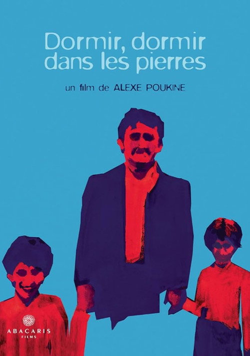 Movie poster for Dormir, dormir dans les pierres