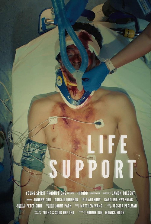 Movie poster for Life Support (2025)