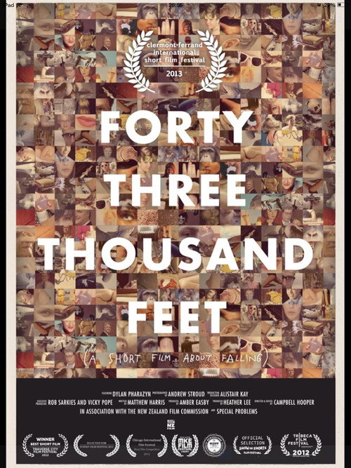 Movie poster for 43,000 Feet (2012)
