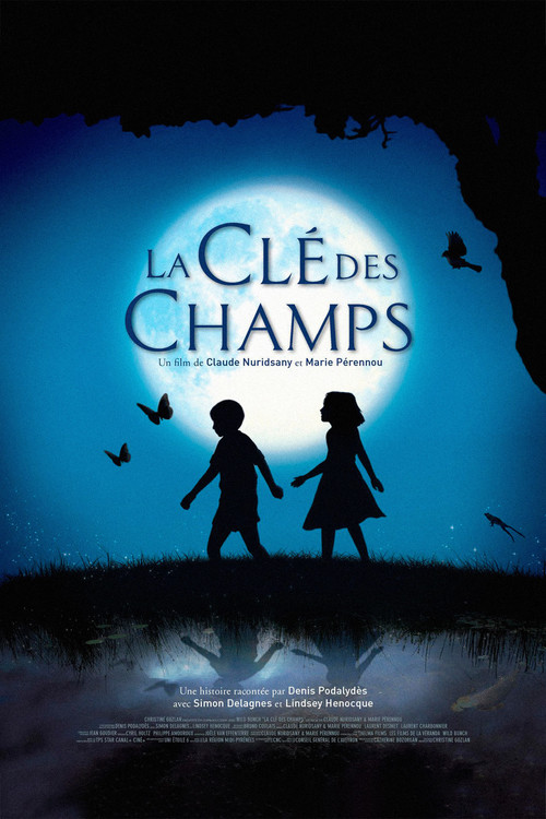 Movie poster for The Field of Enchantment (2011)