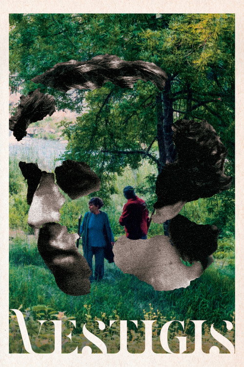 Movie poster for Vestigis (2024)