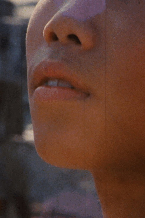 Movie poster for Landscape Catching (1992)