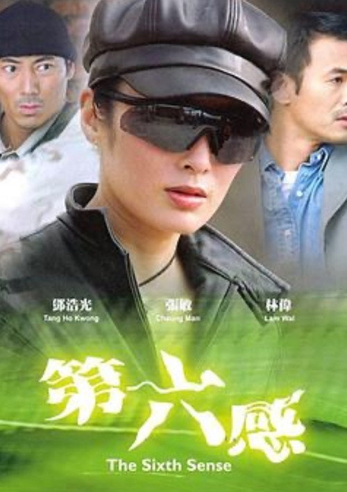 Movie poster for The Sixth Sense (2003)