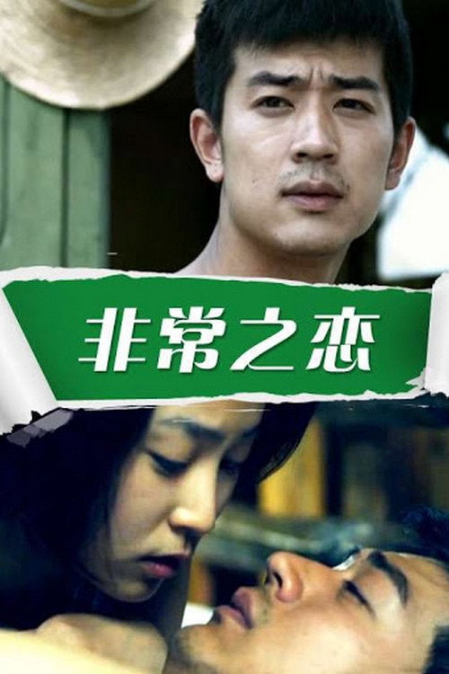 Movie poster for Crossing the Border (2011)